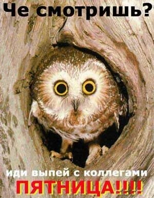 Алкопитница