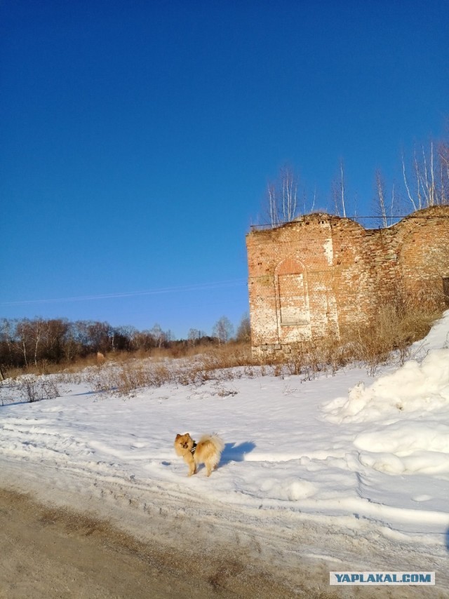 21 марта