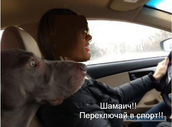 Виражи