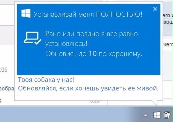 Последнее обновление Windows