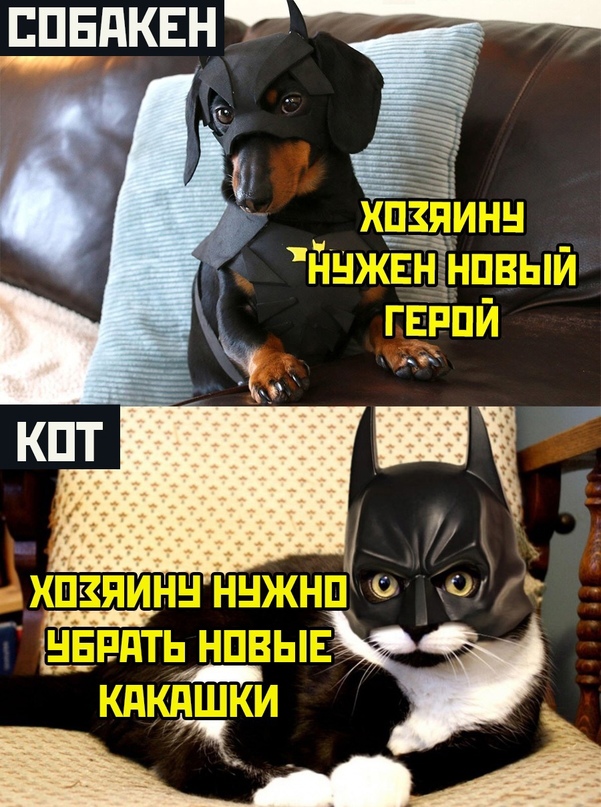 Картинки и мемы для настроения