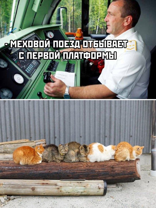 Картинки на вчера