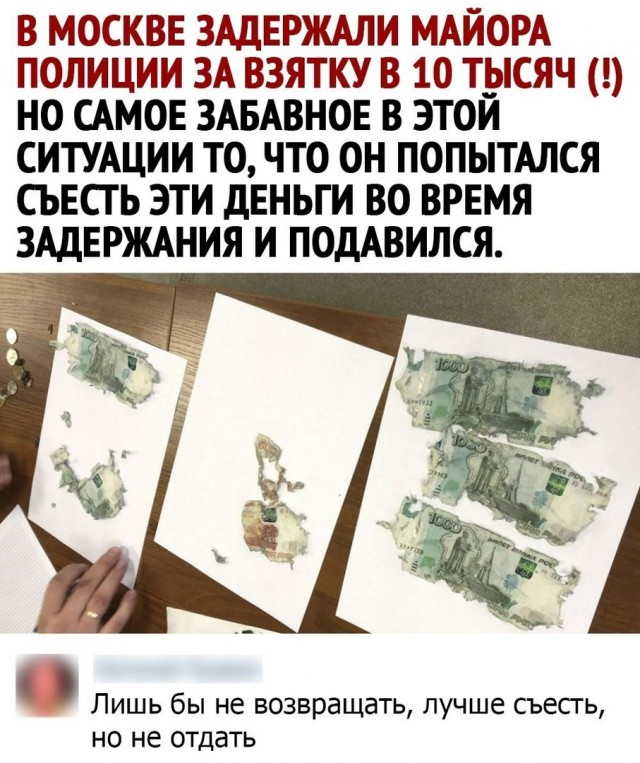 Кретинизмы из сети 16.08.2021