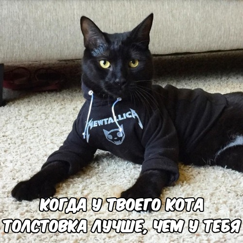 Так себе картинки 12.09.21