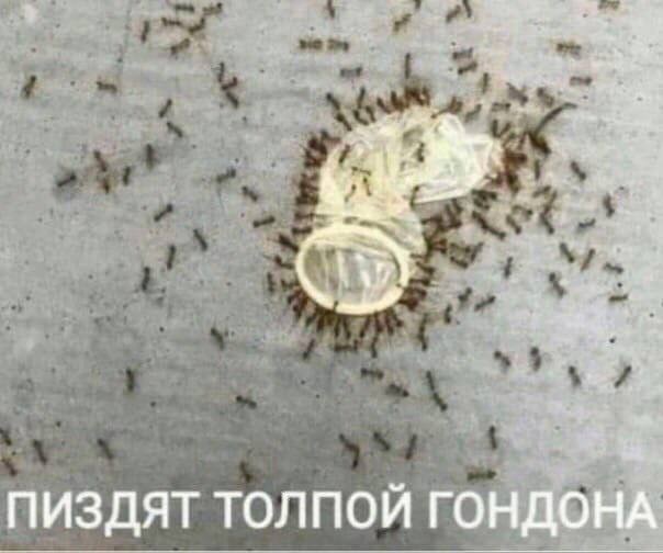 Аморальная деградация