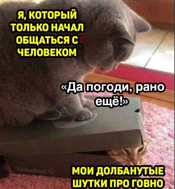 Весёлый полтишок 02.11