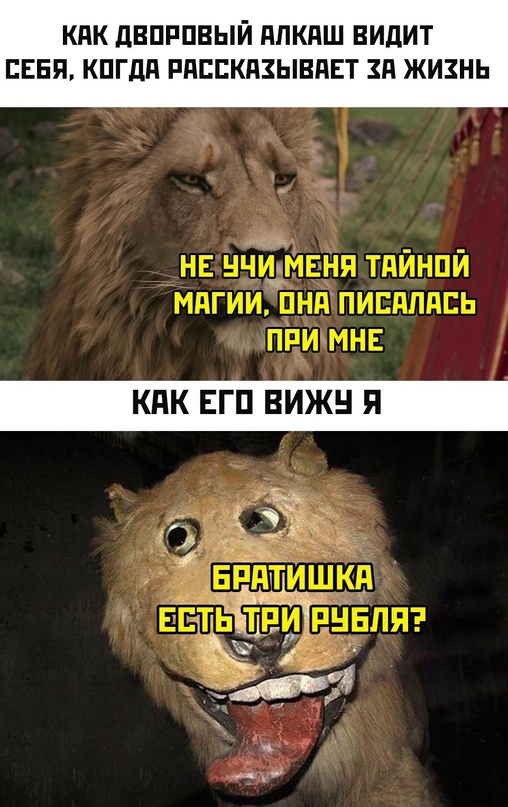 Весёлый полтишок 09.11