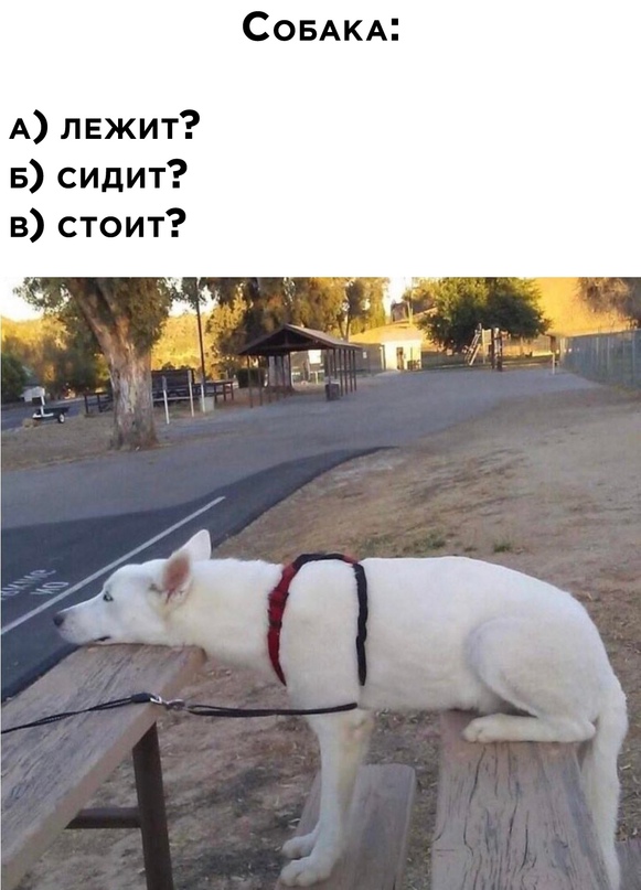 Один шаг и она начнется