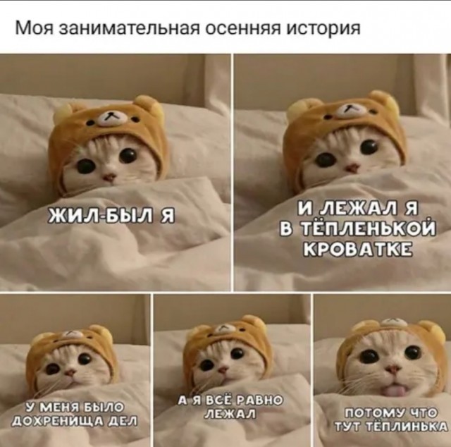 Не отвлекайтесь от прокрастинации. Иначе можно начать жить полноценной жизнью