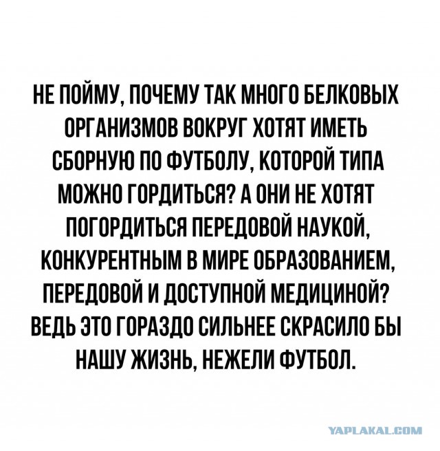 Чуток картинок 25.01.22