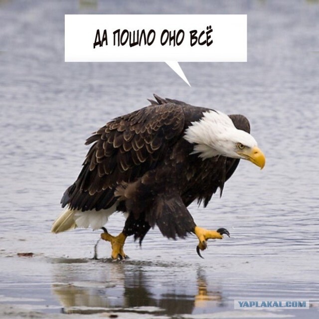 Что не так с женщинами? Кто вам нужен?