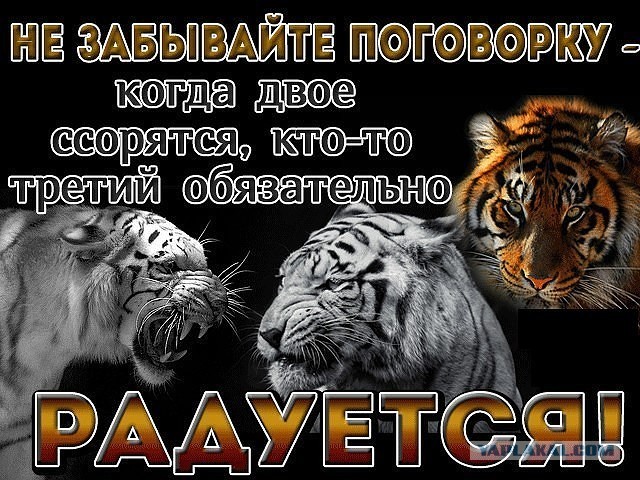 В НАТО обеспокоились «слишком большими уступками» Украины на переговорах