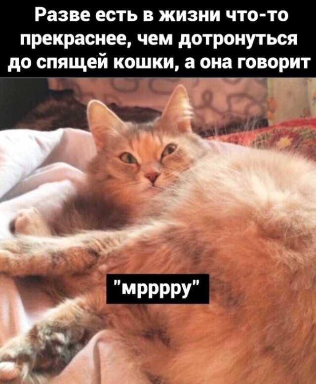 Забавные комментарии из социальных сетей (21.03.22)