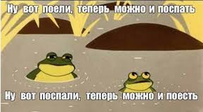 А ваши котейки че счас делают?