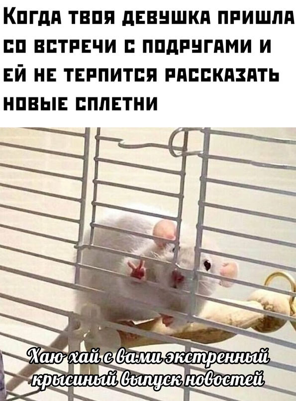 Картинки и мемы для настроения. Выходные скоро