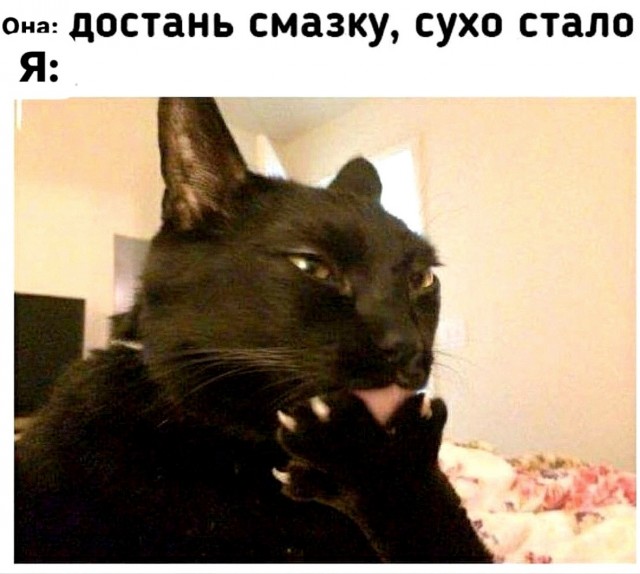 Пятница. И немного слегка пошлых картинок с надписями и без 16+ (16.12)