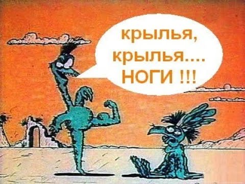 "Грузи меня в сумку!"