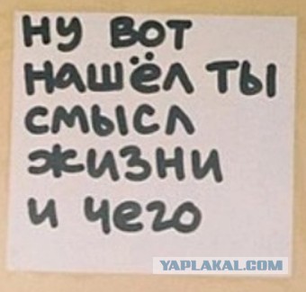 Нуштош 16.03.23