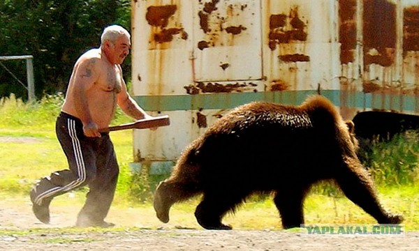 Обороняемся от медведя