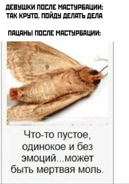 Картинки разнообразные