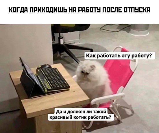 Картинки и мемы для настроения - 187