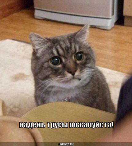 Хоспаде бозе