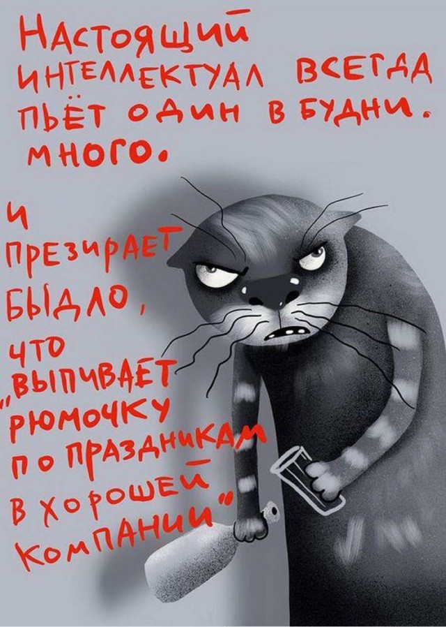 Всего понемногу. От 19.10.23