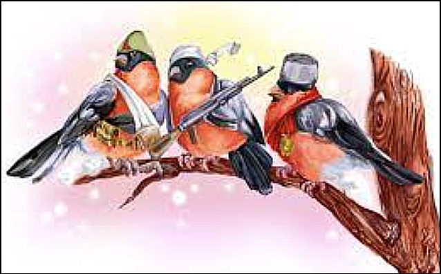 43 года такого не видел