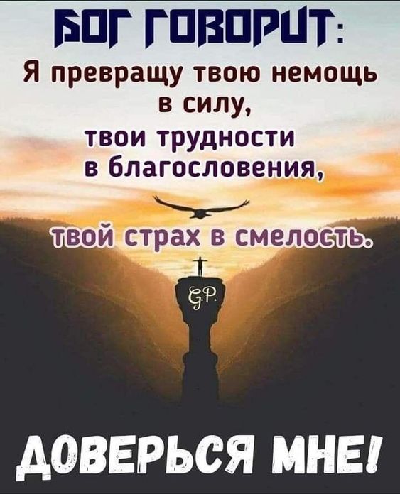 Прикольные и просто красивые картинки 16.02.2024