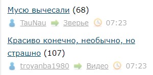 Мусю вычесали