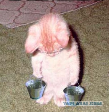 Поработал,можно и поесть)))