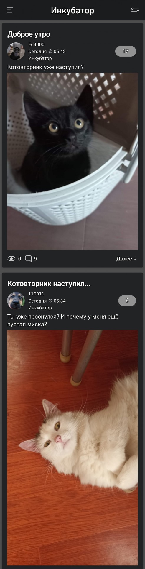 Доброе утро