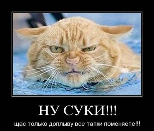 Наташ, я это тебе еще припомню
