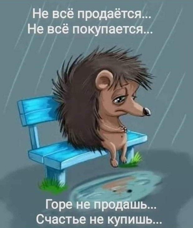 Прикольные и просто красивые картинки 15.10.2024