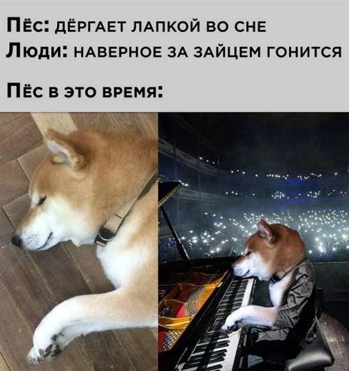 Завалялось тут случайно немного забавных картинок