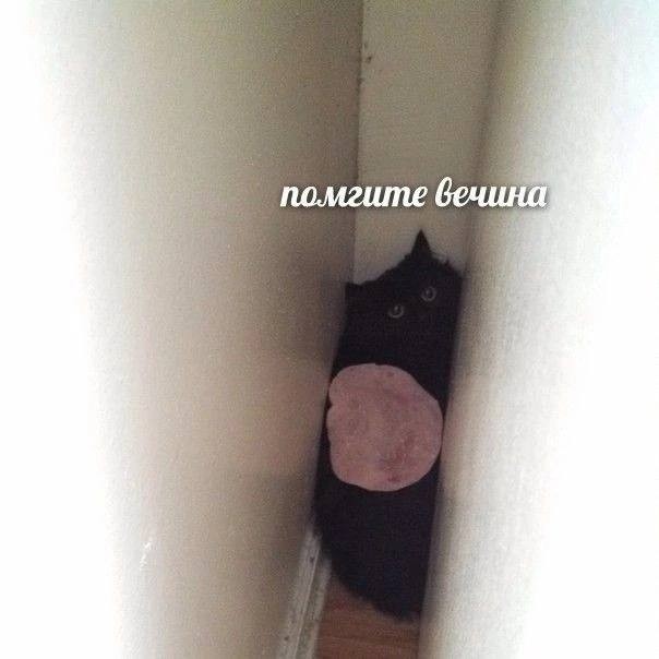 Завалялось тут случайно немного забавных картинок
