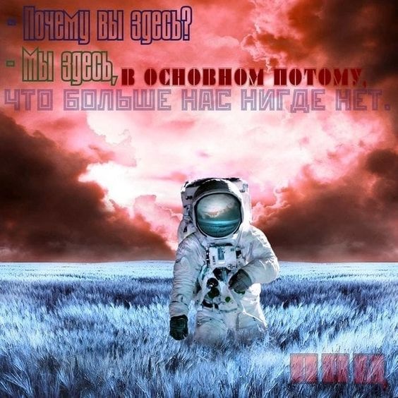 Прикольные и просто красивые картинки 12.11.2024