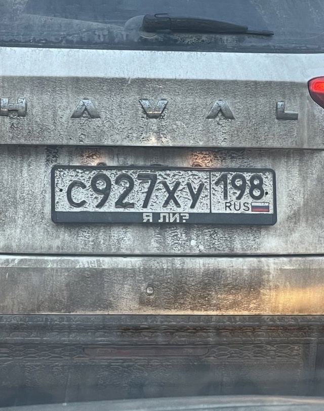 Весёлый полтишок 06.12.24