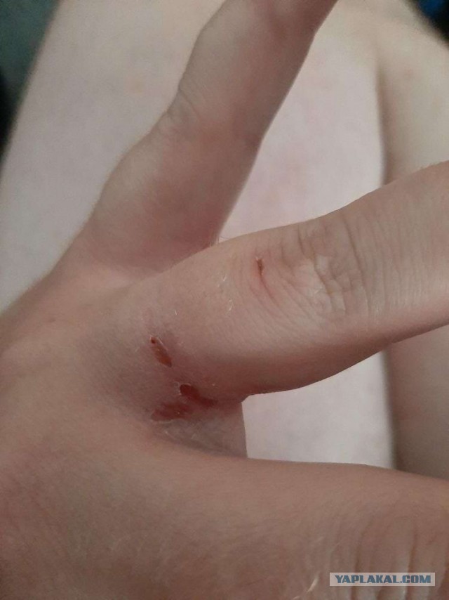 18 любопытных примеров, которые наглядно и неожиданно отвечают на вопрос: «Что будет, если…»