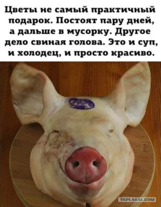Что-то много грустного стало на Япе, может улыбнет?