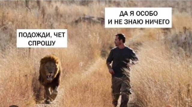Маньяк преследовал девушку, но ей удалось спастись