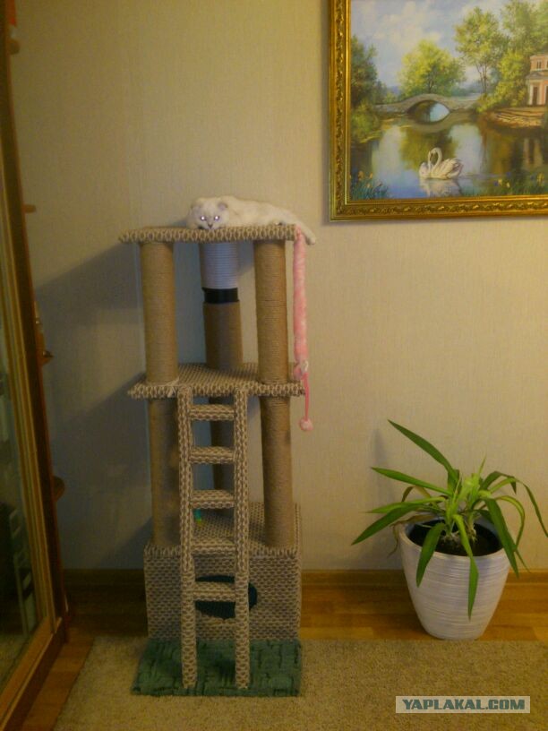 Домик для Тёмы