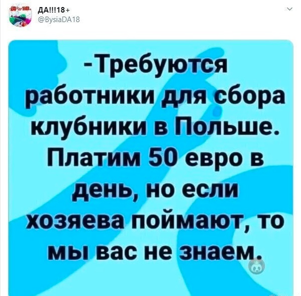 Весёлый полтишок 13.07.25