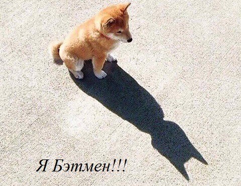 Веселое настроение в картинках (04.08.2025)