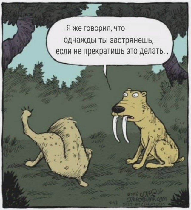 Картинки для деградации 28 (разной степени свежести)