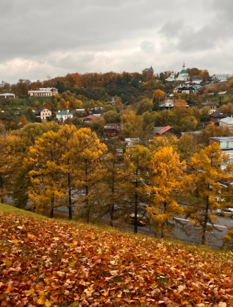 Красивые картинки