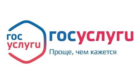 В России могу ввести вход в интернет через «Госуслуги»