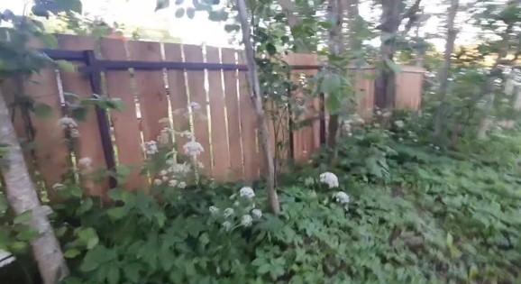 Деревенские страсти.