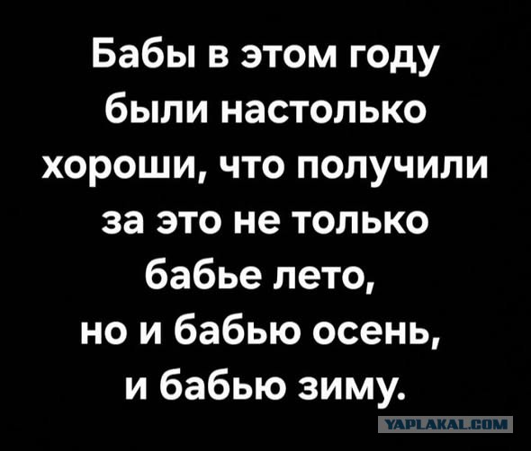 Картиночки, баянчики 10 декабря