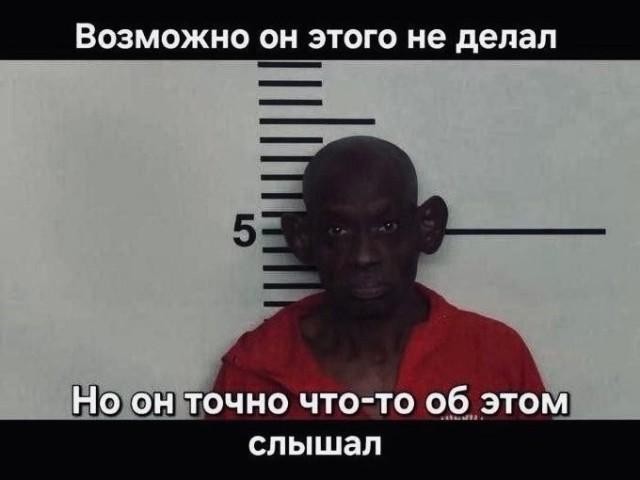 Веселых картинок вам в ленту